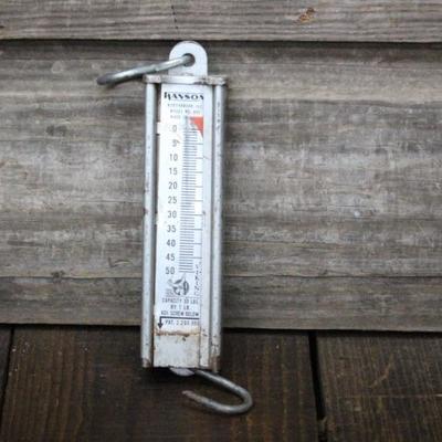 Hanson Hanging Scale