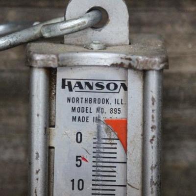 Hanson Hanging Scale