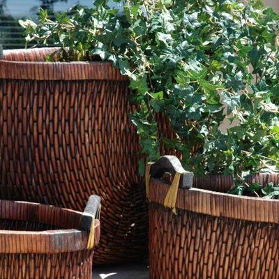 Assorted baskets for decorating 