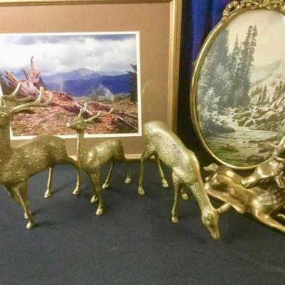 Brass Deer Collection