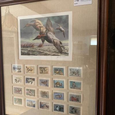 David Mass framed duck stamp print with 20 duck stamps  