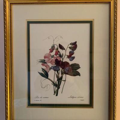 Two framed botanical prints  