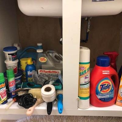 Everything Under the Sink