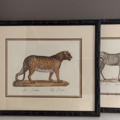 Framed Panther and Zebra Prints