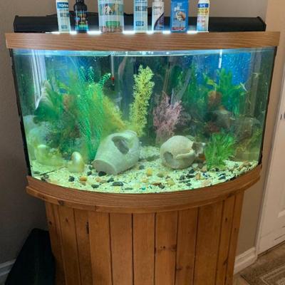 Corner unit with live fish and comes with about $300 woth of additional products 