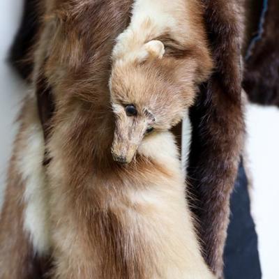 Vintage shawl stole fox fur