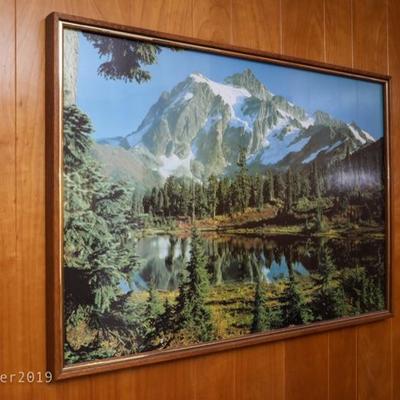 Framed nature print photograph