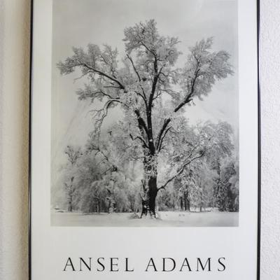 Ansel Adams print framed