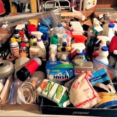 Cleaning supplies, pesticides, etc.