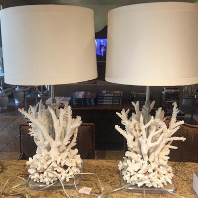 Coral lamps 