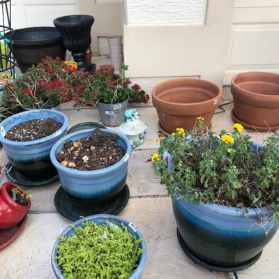 A beautiful selection of live plants and outdoor pottery