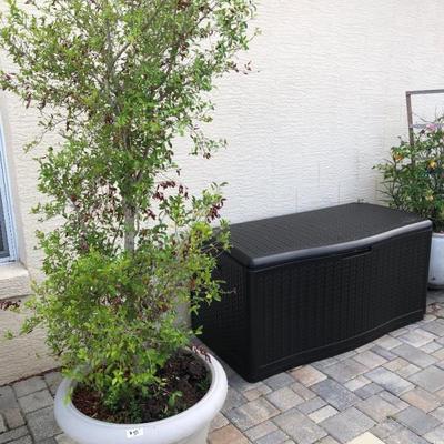 A beautiful selection of live plants and outdoor pottery. Deck Box.