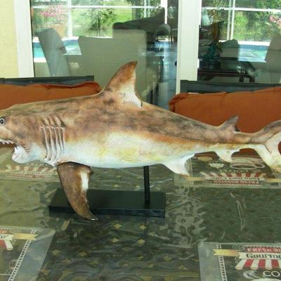 Composition sculpture of shark