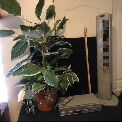 Artificial plant, VCR/DVD player, standing fan tower
