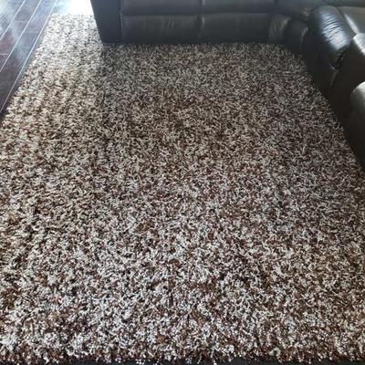 #220: Brown and White Shag Rug
Measures approx 10ft by 8ft
