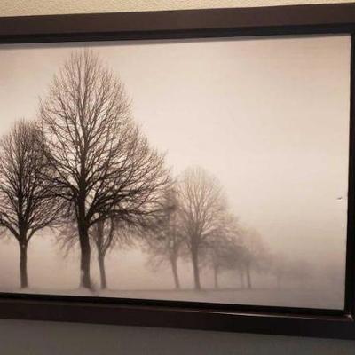 #413: Framed Fog Artwork, 41