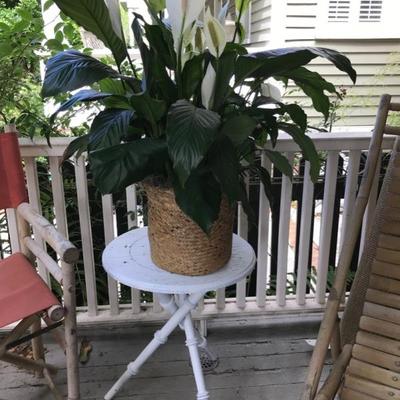 Table $15