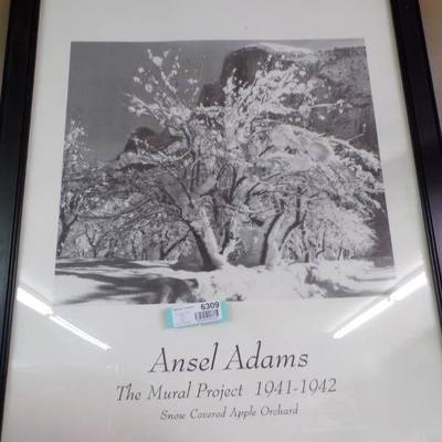 Ansel Adams Picture