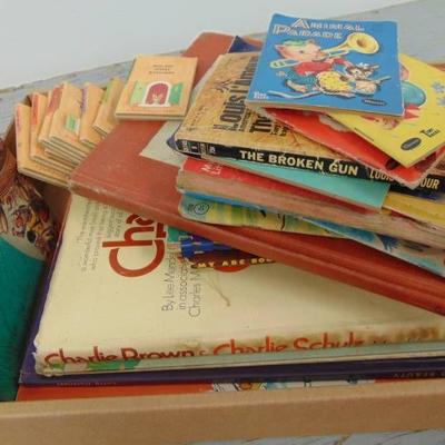 Childrens Book Lot