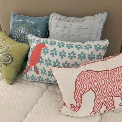 Variety of Throw Pillows