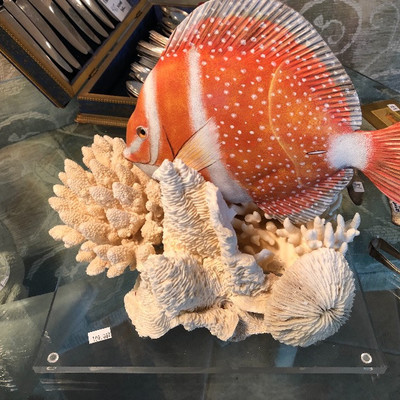Coral sculpture 