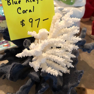 Beautiful coral!