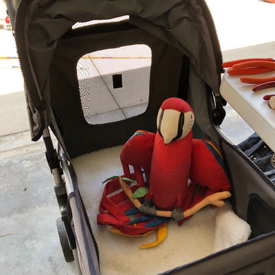 Pet stroller and stuffed toy parrot