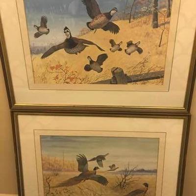 Framed Art Bird Prints
