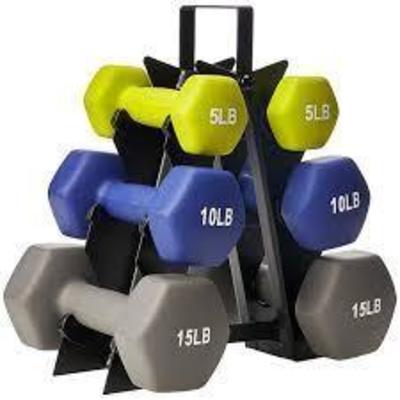 Basics Dumbbell Set with Stand 48-Pound SDNS6-AB48