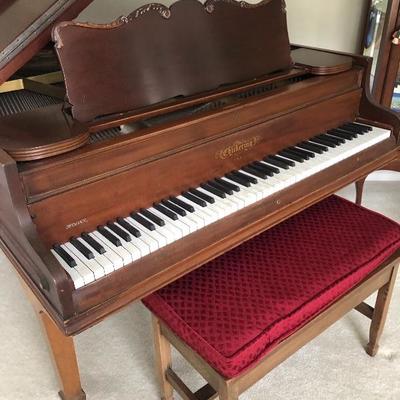 Antique Chickering & Sons  of Boston
Quarter Grand Piano
121 Scale
Made in early 1900