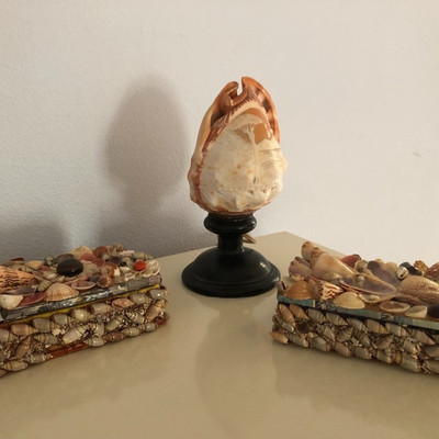 Sheâ€™ll boxes, Small Shell lamp