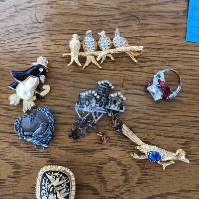 Road runner pin and friends