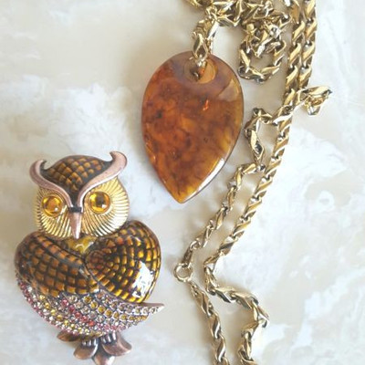 Amber and Owls
