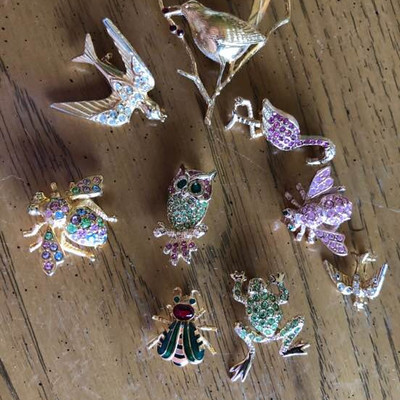 Birds, insects, and frog pins