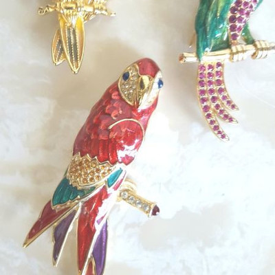 Pretty Bird, Pretty Bird