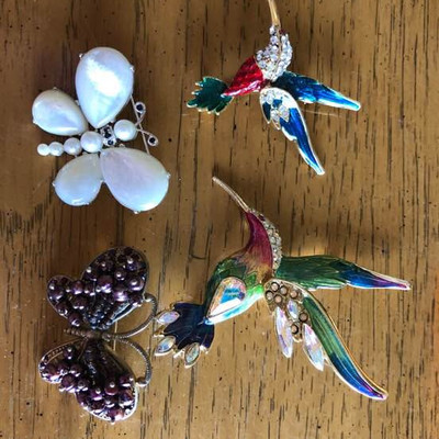 Hummingbirds and butterflies Pins