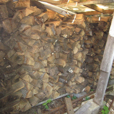 Tons of Firewood 