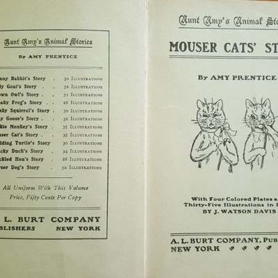 Interior of Mouser Cat's 1st edition