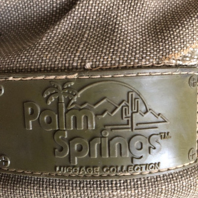 Palm Springs Luggage (Detail)