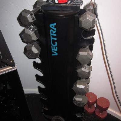 Vectra Weights 
