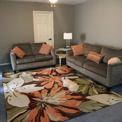 Matching sofa and love seat, rug, corner table, pillows