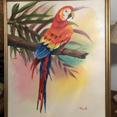 J Buck's Parrot Framed Oil New Orleans Artist SGA049 Local Pickup https://www.ebay.com/itm/123797085244
