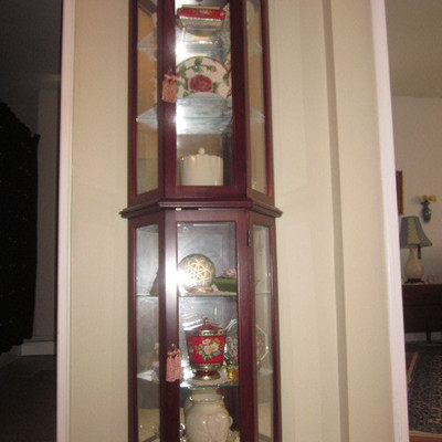 Lighted Curio and all contents 