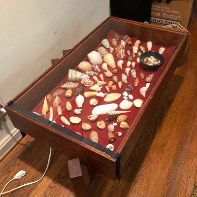 Costume Hand Made display table with hand picked sea shells filled with memories  