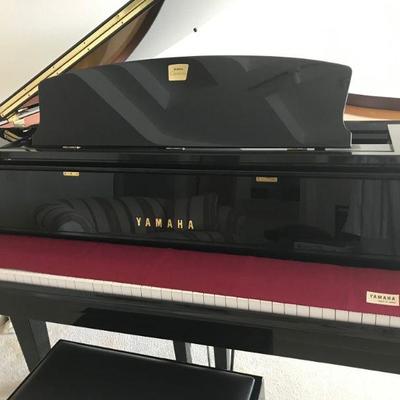Yamaha Baby Grand Player Piano. The ONLY year Yamaha made a Full Size Baby Grand Player Piano...original Price $28,000.00