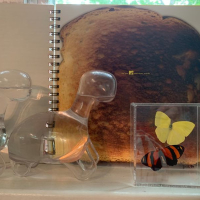 MTV Music Awards Book, Framed Butterflies, Dino Pet from Biopop