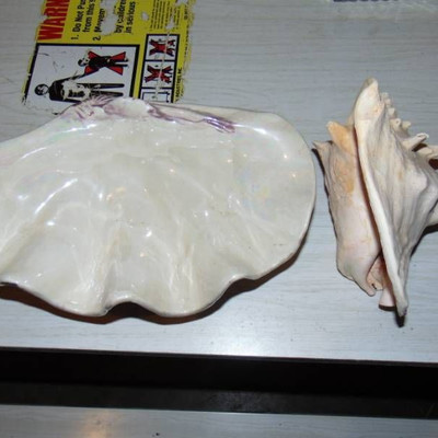 Ceramic and sea shell