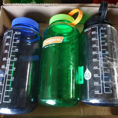3- 32oz water bottles.