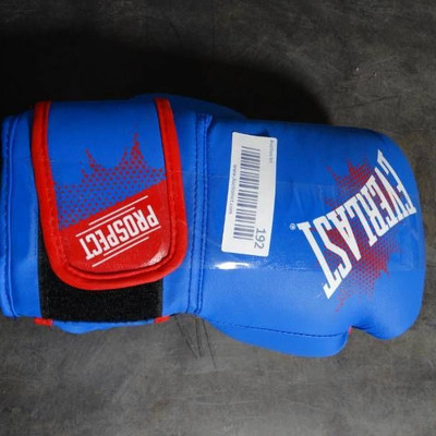 Everlast prospect youth boxing gloves.