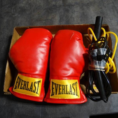 Everlast boxing gloves and 2 jump ropes.